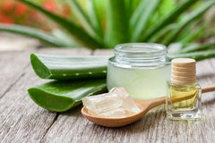 Image de Aloe Vera